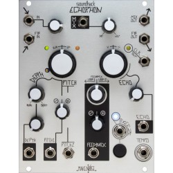 Make Noise Echophon Eurorack Pitch Shifting Echo Module